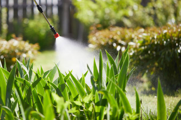 24/7 Emergency Mosquito Control experts in West Grove, PA